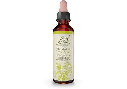 Clematis Bach Flower Remedy