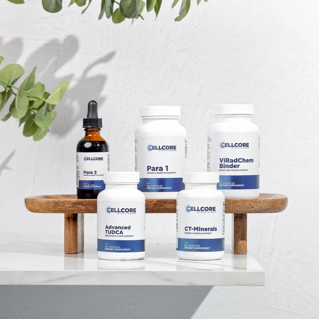 Foundational Protocol Step 3 of 4: Whole Body Immune Support