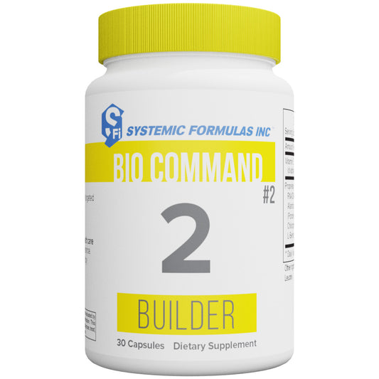 2 – Builder