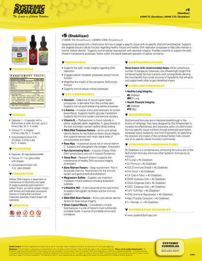 5 – Stabilizer