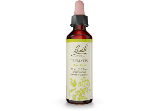 Clematis  Bach Flower Remedy