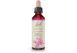 Crab Apple Bach Flower Remedy