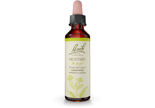 Mustard Bach Flower Remedy