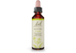 Mustard Bach Flower Remedy