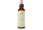 Olive Bach Flower Remedy