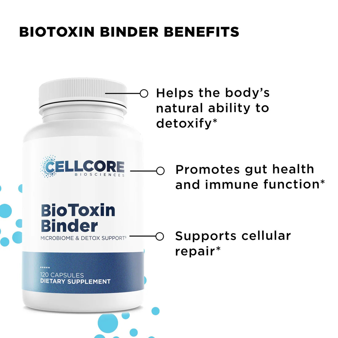 Foundational Protocol Step 2 of 4: Gut and Immune Support
