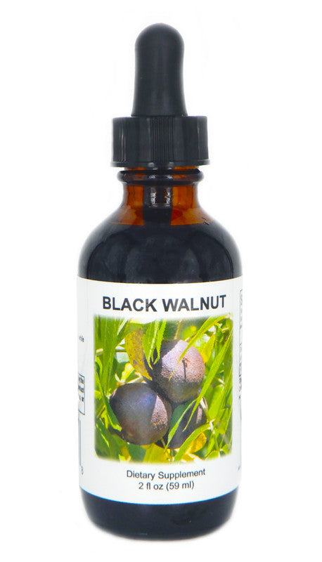 Black Walnut