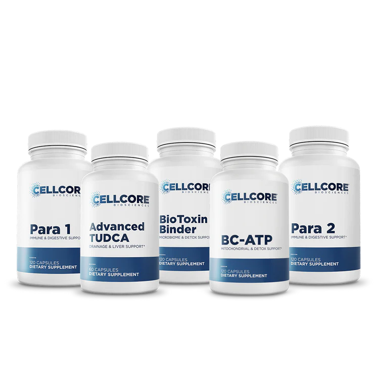 Phase 2: Gut & Immune Support