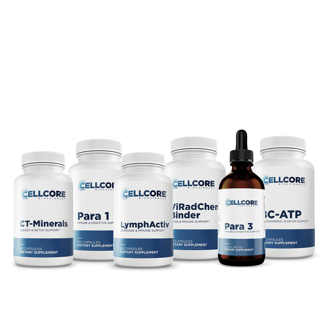 Phase 3: Whole Body Immune Support