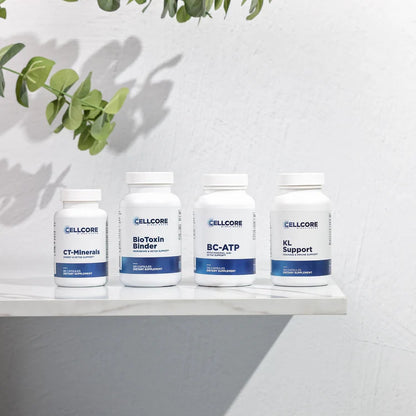 Phase 1: Energy and Drainage