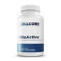 MitoActive