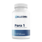 Para 1
