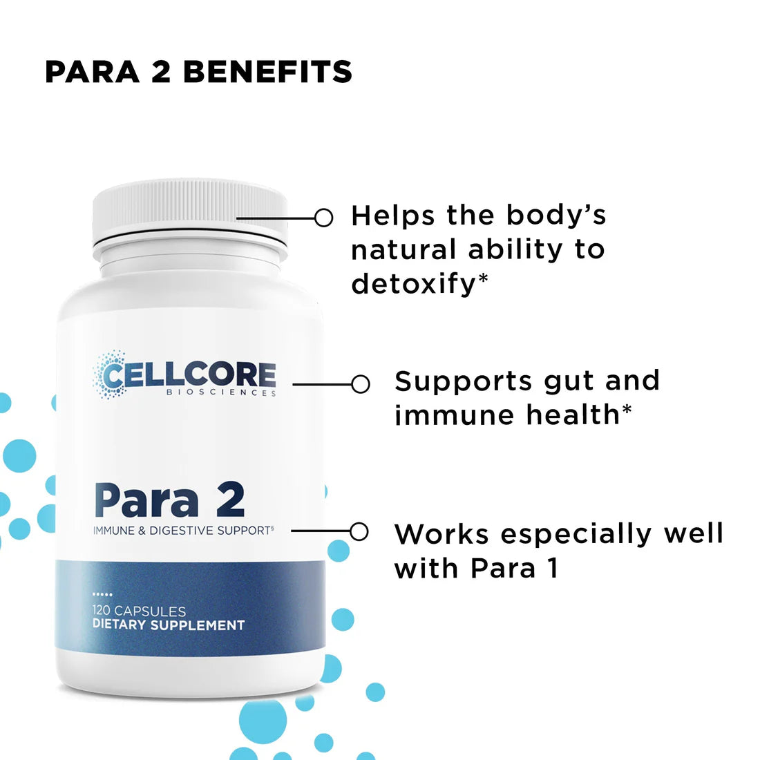 Foundational Protocol Step 2 of 4: Gut and Immune Support