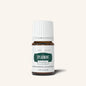 Spearmint Vitality Young Living Essential Oil 5ml